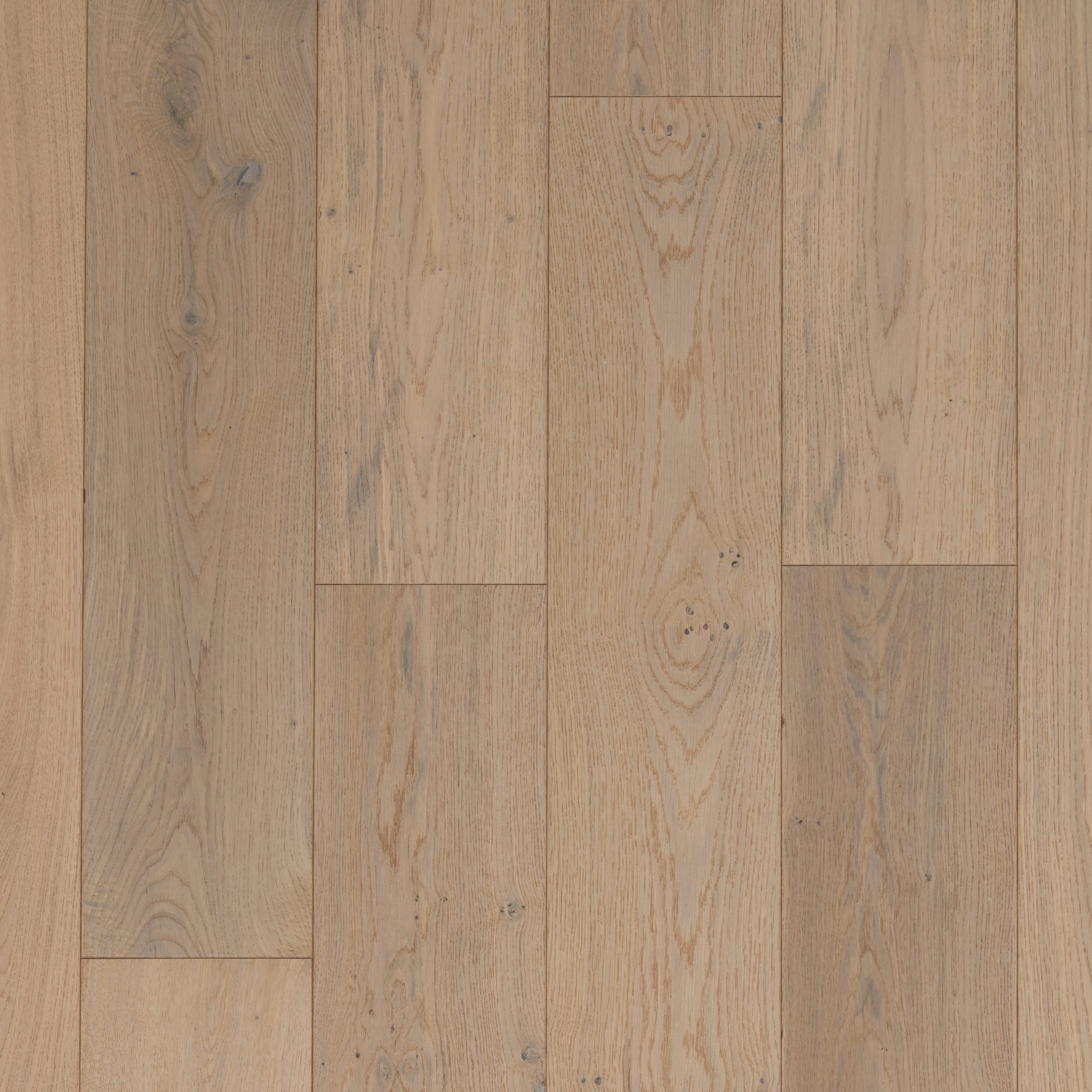 Majesty Oak Cotton Brush & Lacquered Click Engineered Wood Flooring